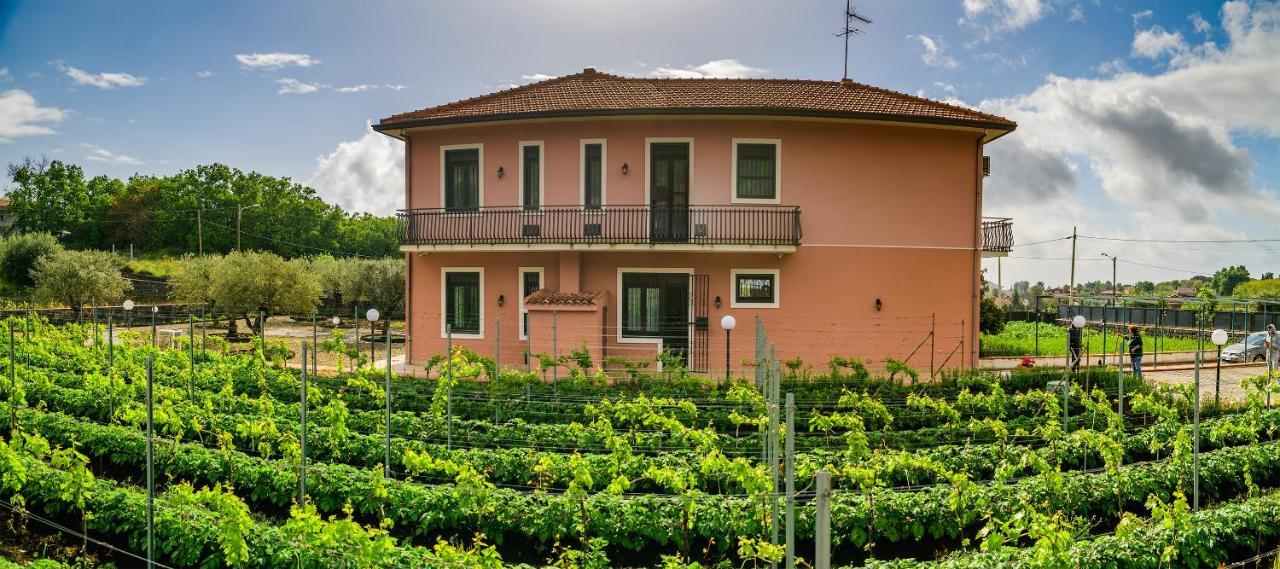 Bee Happy - Bed And Breakfast Zafferana Etnea Exterior foto